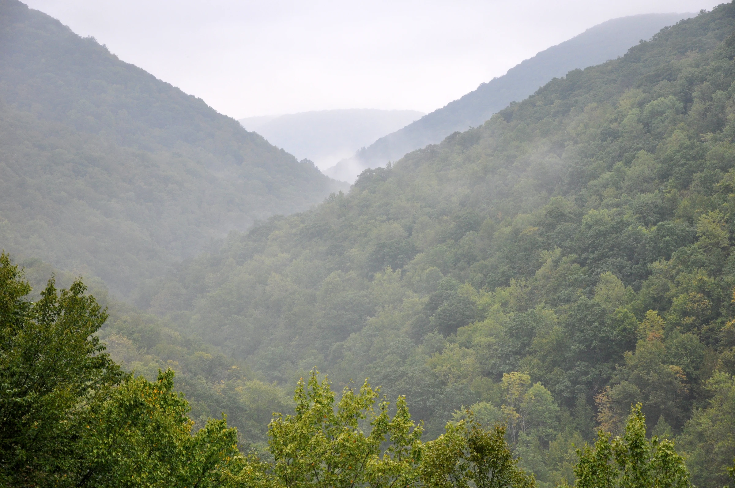Mist settling over the forested hills of Pennsylvania
